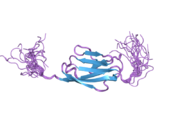 2cpc: Solution structure of RSGI RUH-030, an Ig like domain from human cDNA