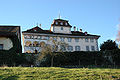 Castle Hilfikon in Hilfikon village