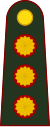 中将