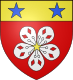 布鲁塞昂布卢瓦徽章