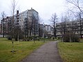 Park Cygnaeuksenpuisto