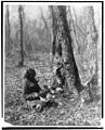 Ojibwe woman tapping for sugar maple syrup