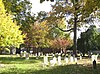 Flatbush Dutch Reformed Church Complex