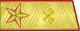 1955年－1974年苏联工程兵元帅礼服肩章