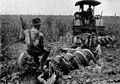 Image 2Early 20th-century image of a tractor ploughing an alfalfa field (from History of agriculture)