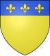 昂科讷徽章