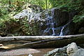 Patapsco Valley State Park