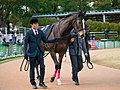 於 2017年10月15日 (日) 07:16 版本的縮圖