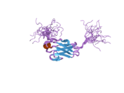 2cry: Solution structure of the fifth ig-like domain of human kin of IRRE like 3