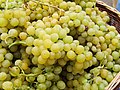 My first picture in Wikimedia Commons: grape variety Palatina / Mein erstes Bild in den Commons: die Traubensorte Palatina