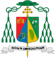 Former version of the coat of arms
