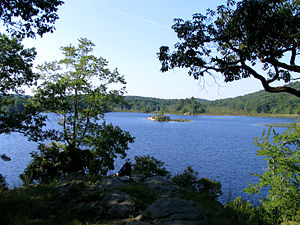 哈里曼州立公園（英語：Harriman State Park (New York)）裡的島池