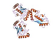 1y6l: Human ubiquitin conjugating enzyme E2E2