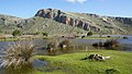 Partial view of Prokopos Lagoon.