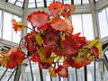 Dale Chihuly glass art at the exhibition of his work in 2005, Kew Gardens