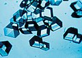 Image 15Synthetic insulin crystals synthesized using recombinant DNA technology (from History of biotechnology)