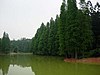 中国科学院华南植物园的龙洞琪林