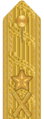 Shoulder mark (Army)[e] (2000–present)