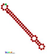 P35: Secondary structure taken from the Rfam database. Family RF01677