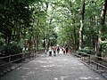 This pathway leads through Tadasu no Mori (the "Forest Where Lies are Revealed").