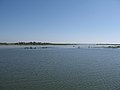 villages appearing like an island in a Haor at Sunamganj, by P. K. Niyogi