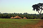 In Bunghoko Mbale is the official circumcision site for the start of ceremonies.