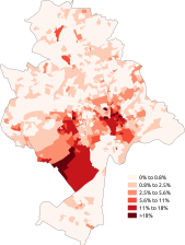 Asian-Chinese