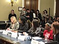 Democratic Women’s Caucus MeToo Silence Breakers hearing