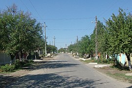Main street in Dragomirești-Vale