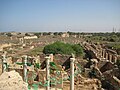 View on Leptis Magna from the theatre wall