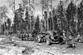 Artillery in forest, 1943