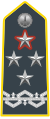 General of Army Corps (Lieutenant-General); General commanding the Guardia di Finanza.