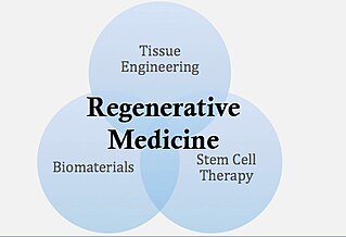 Regenerative-Medicine-Stem-Cells-Tissue-Engineering-Biomaterials