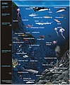 於 2020年7月11日 (六) 04:58 版本的縮圖