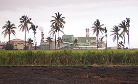 The sugarcane factory and the bagasse/coal dual power plant of Gol, in Saint-Louis