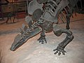Stegosaurus (Postdlf)