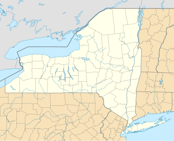 2015年世界室内袋棍球锦标赛在纽约州的位置