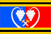 Flag of Vinařice