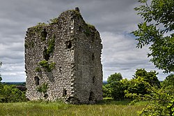 Moydow (Castlerea) Castle