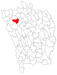 Location in Vaslui County