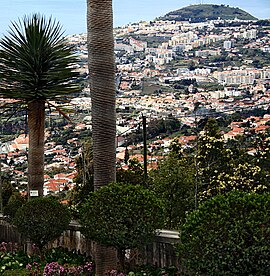Monte as seen from the centre of Funchal