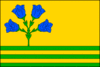 Flag of Janová