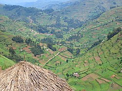 Kabale's landscape