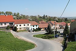 Common in Viničné Šumice