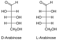 阿拉伯糖（Arabinose）