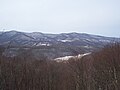 Overlook at the Park