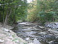 Red Hill Creek, King's Forest Park