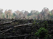 that over 50% of U.S. wetlands have been lost in the last 200 years?