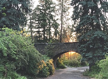 Bridge on Loop Drive