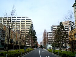 兩棟集合住宅「Promenade荻窪」（プロムナード荻窪，右方）與「in the park 荻窪」（左方）